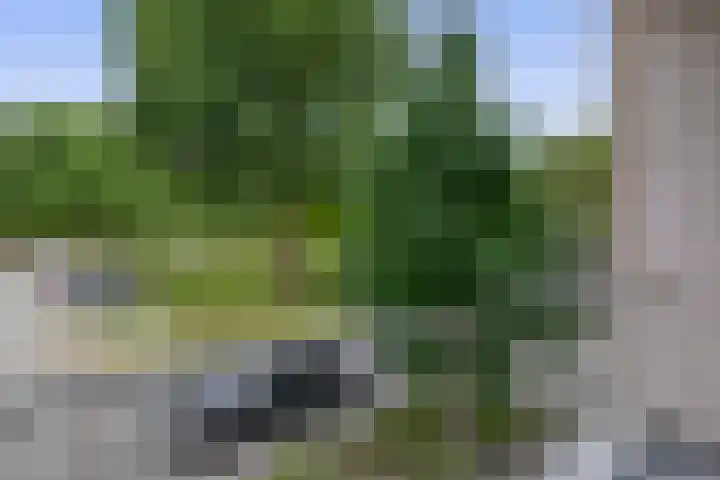Ruygeplaat 153 Rozenburg thumbnail 39