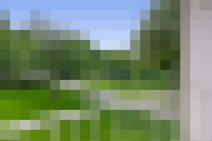 Ruygeplaat 153 Rozenburg thumbnail 40