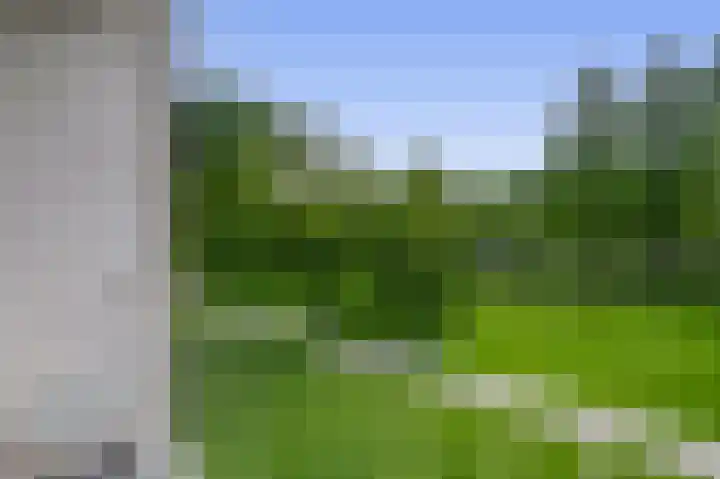 Ruygeplaat 153 Rozenburg thumbnail 41