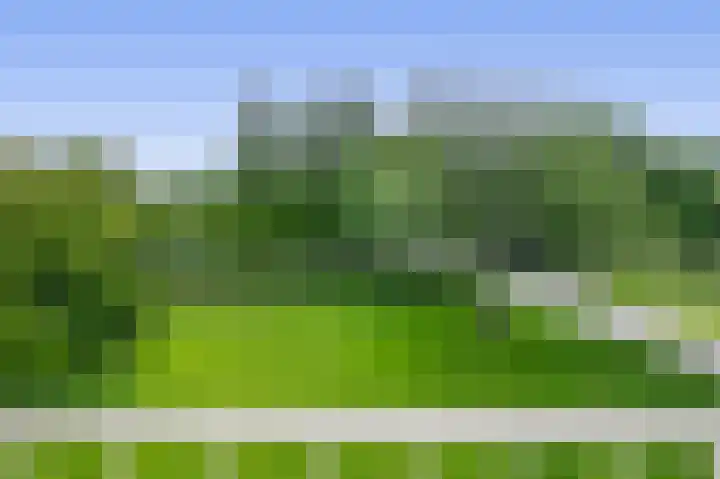 Ruygeplaat 153 Rozenburg thumbnail 42
