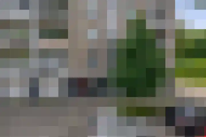 Ruygeplaat 153 Rozenburg thumbnail 6