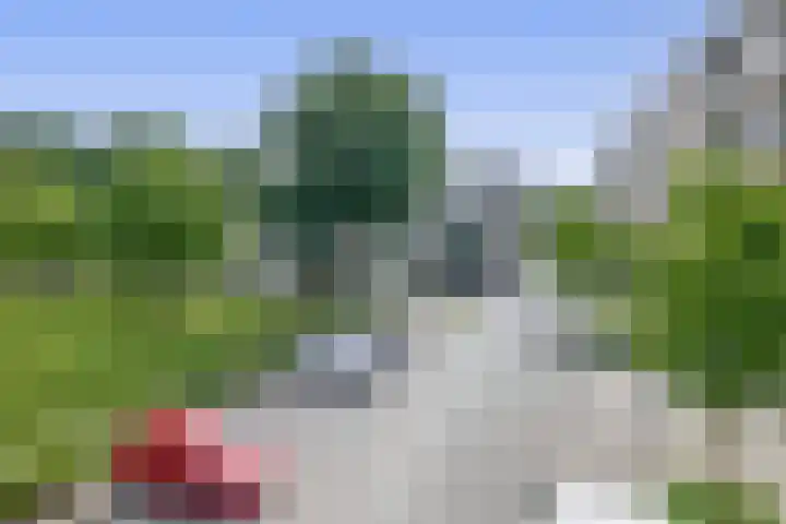 Ruygeplaat 153 Rozenburg thumbnail 7