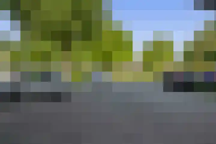 Ruygeplaat 153 Rozenburg thumbnail 8