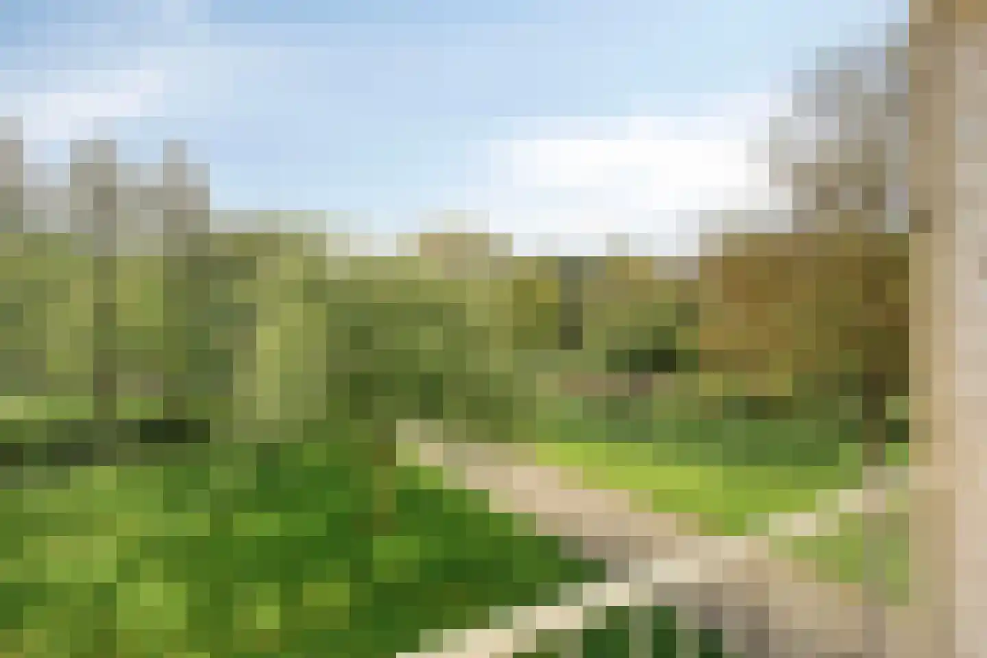Ruygeplaat 157 Rozenburg thumbnail 20