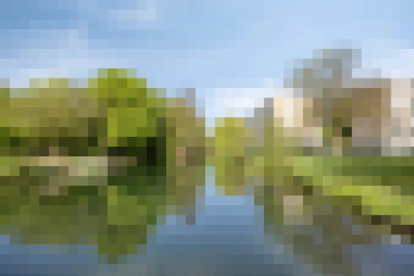 Ruygeplaat 157 Rozenburg thumbnail 25