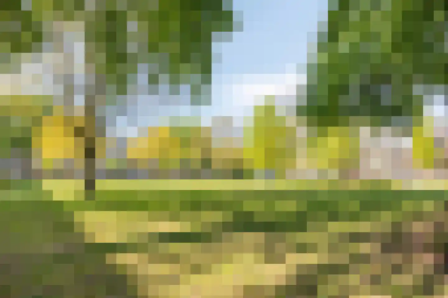 Ruygeplaat 157 Rozenburg thumbnail 26