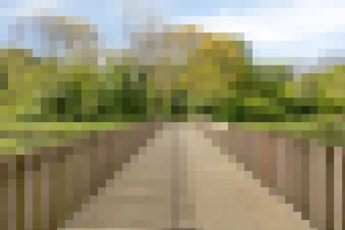 Ruygeplaat 157 Rozenburg thumbnail 27