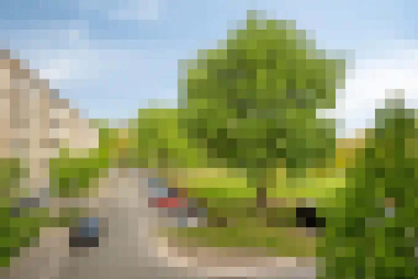 Ruygeplaat 157 Rozenburg thumbnail 6