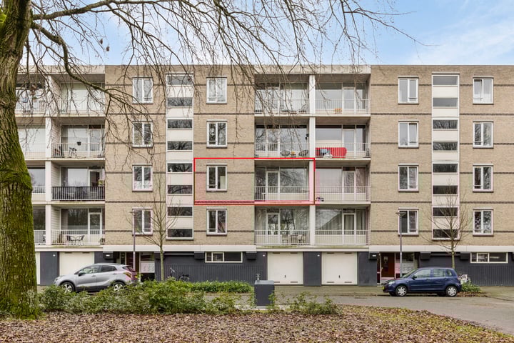 Ruygeplaat 237 in Rozenburg photo