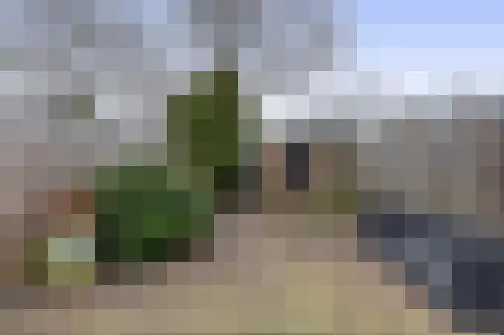 Ruygeplaat 51 Rozenburg thumbnail 22