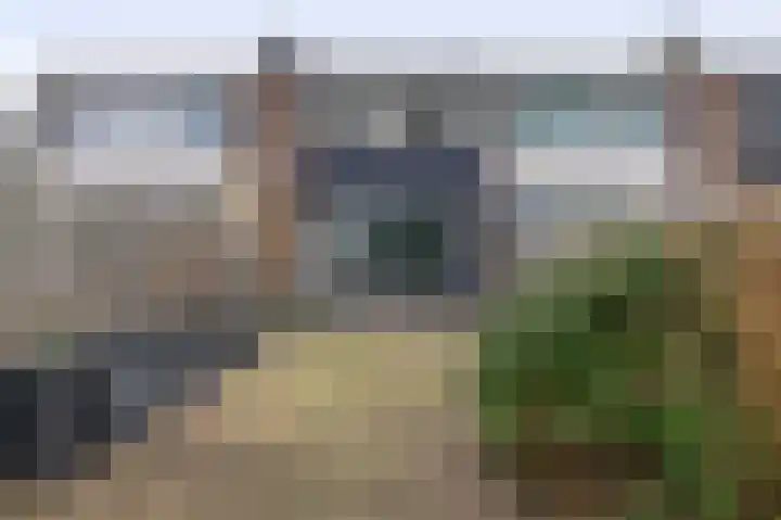 Ruygeplaat 51 Rozenburg thumbnail 23