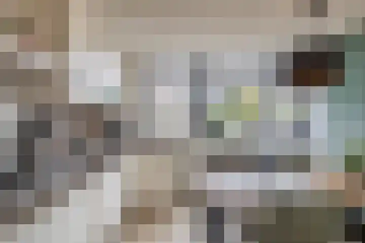 Ruygeplaat 51 Rozenburg thumbnail 4