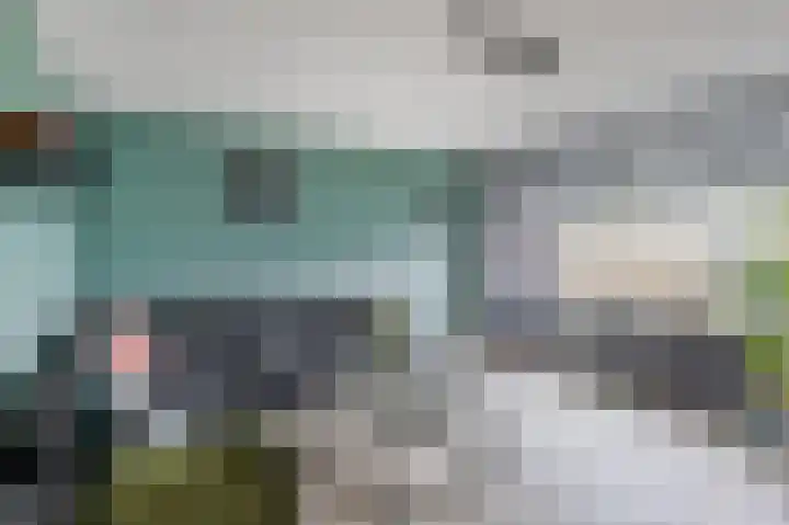Ruygeplaat 51 Rozenburg thumbnail 8