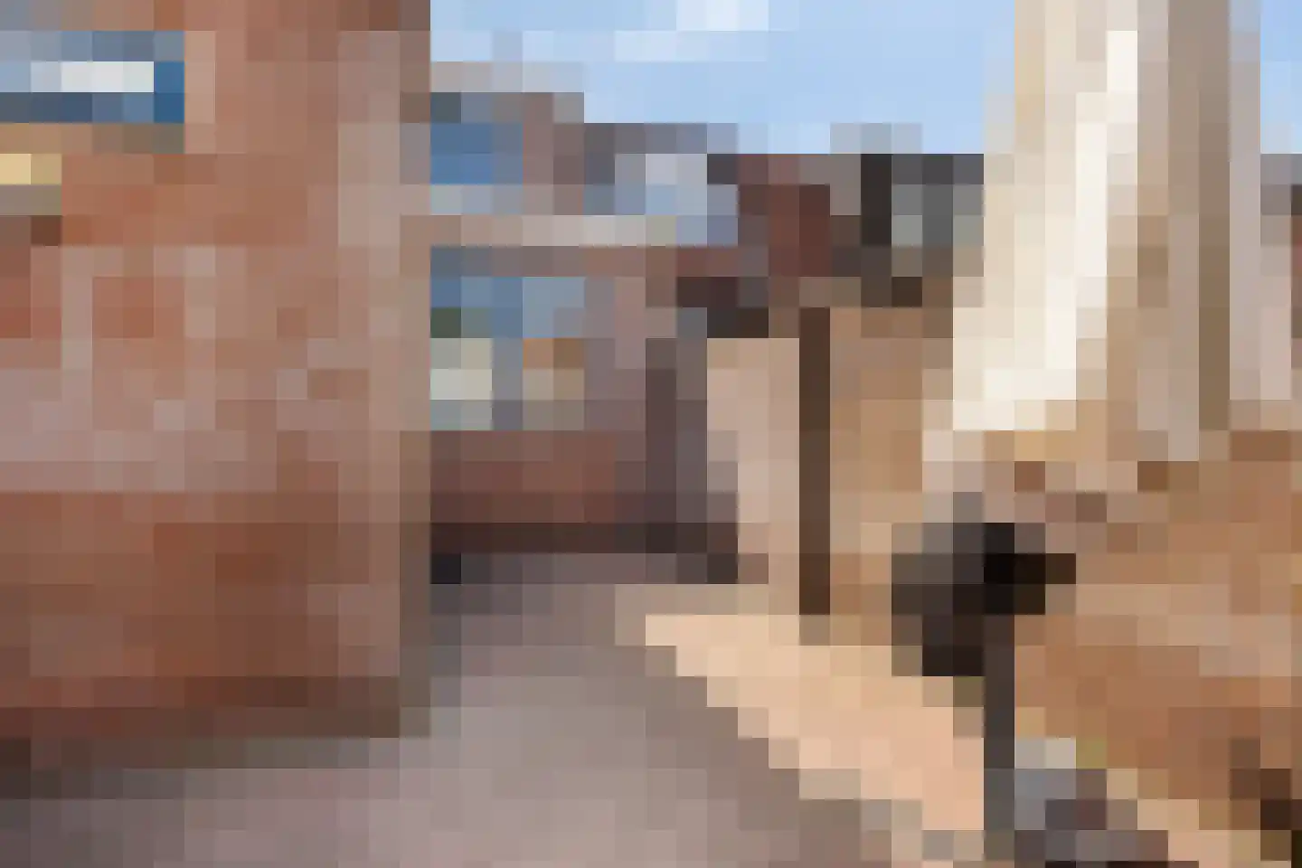 Ruyghweg 115 Den Helder thumbnail 13