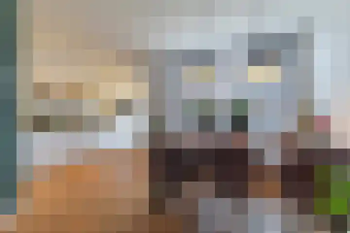 Ruyghweg 15 Den Helder thumbnail 8