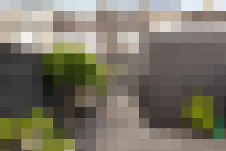 Ruyghweg 180 Den Helder thumbnail 21