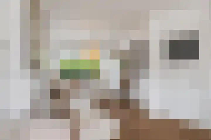 Ruyghweg 180 Den Helder thumbnail 7