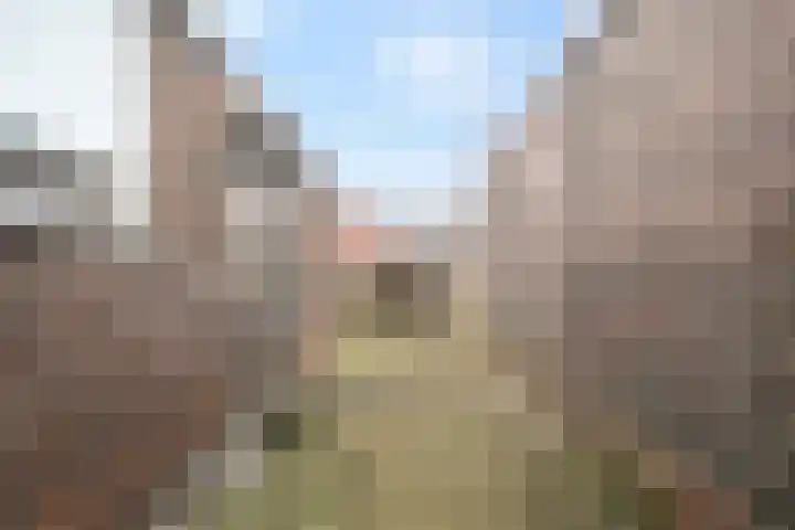 Ruyghweg 205 Den Helder thumbnail 26