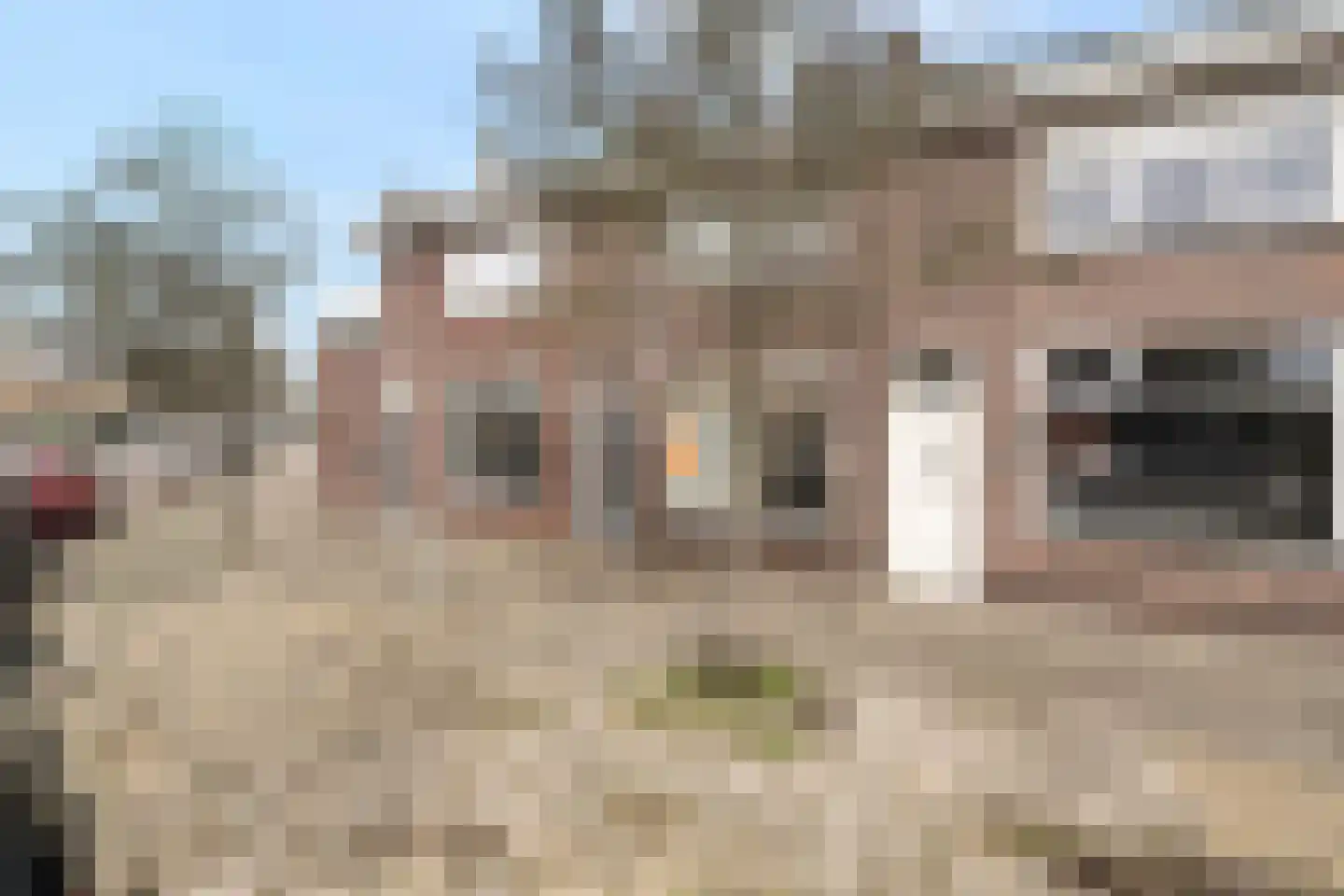 Ruyghweg 205 Den Helder foto 3