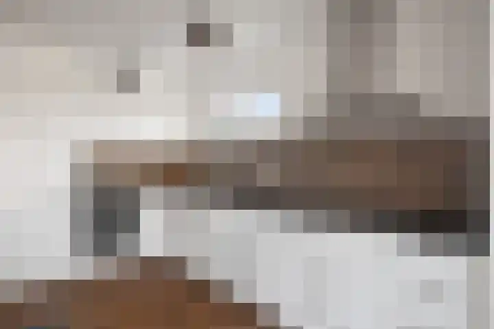 Ruyghweg 363 Den Helder thumbnail 11