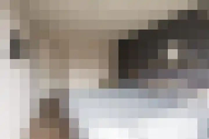 Ruyghweg 363 Den Helder thumbnail 18