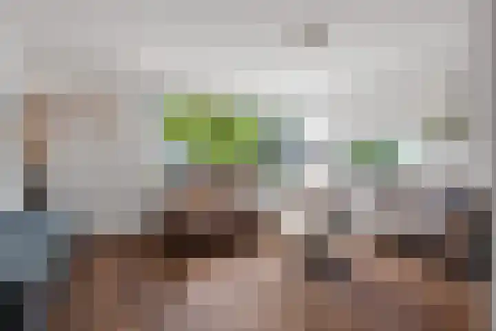 Ruyghweg 363 Den Helder thumbnail 5