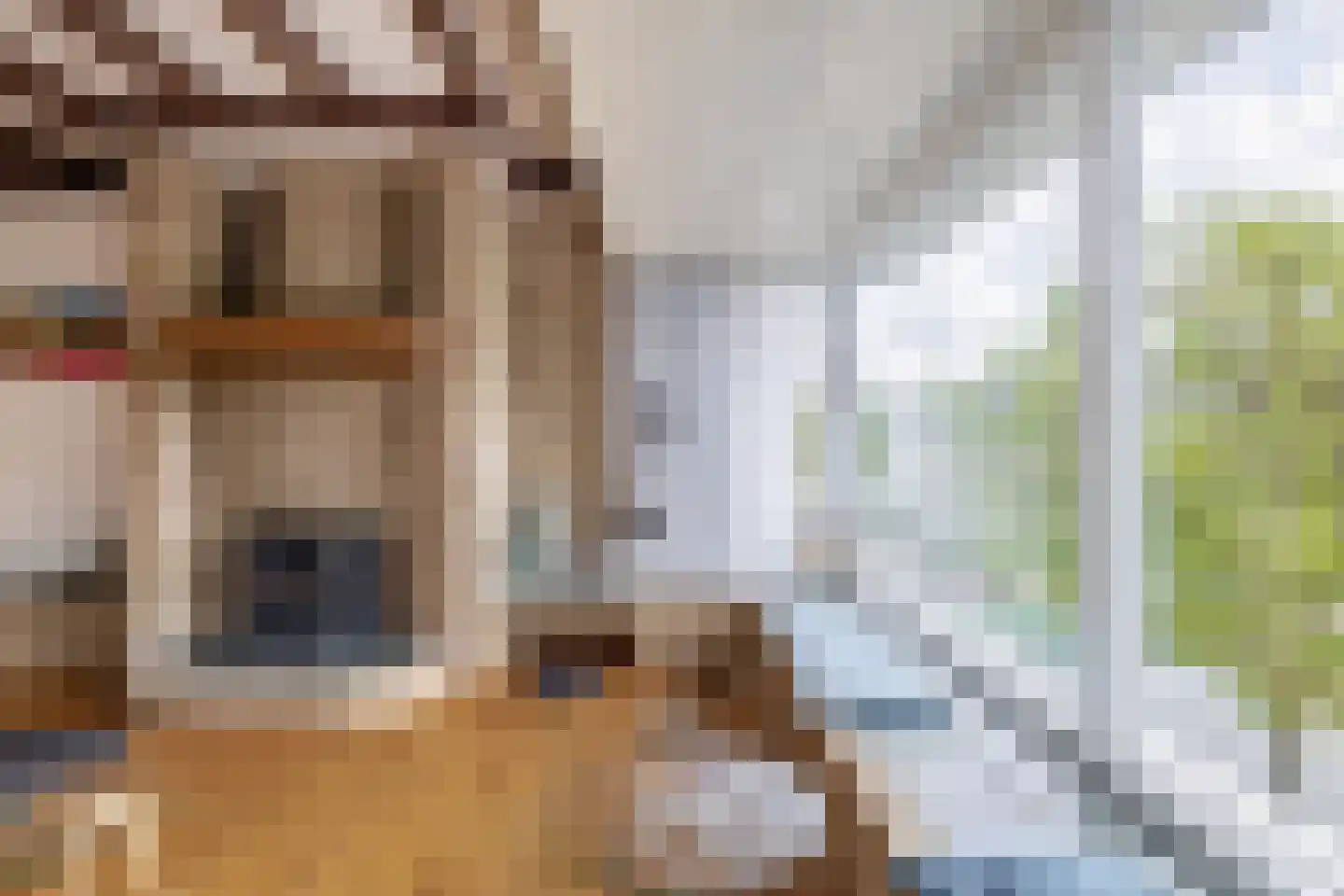 Ruyghweg 53 Den Helder thumbnail 7