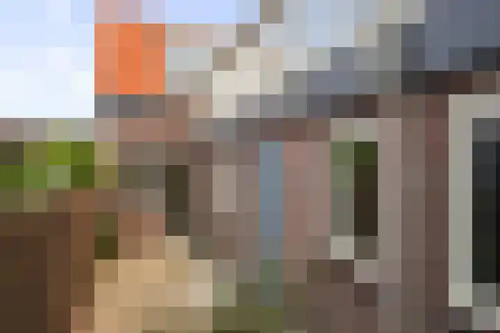 Ruyghweg 71 Den Helder thumbnail 19