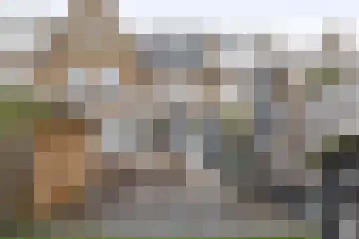 Ruyghweg 94 Den Helder thumbnail 16