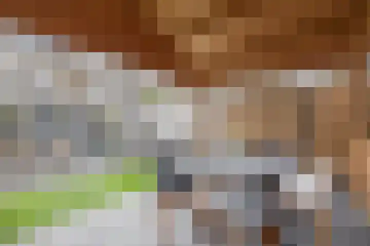 Ruyghweg 94 Den Helder thumbnail 19
