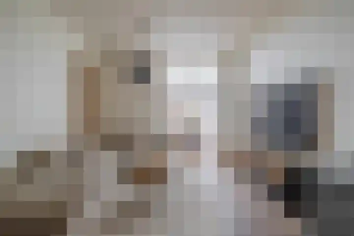 Ruyghweg 94 Den Helder thumbnail 8