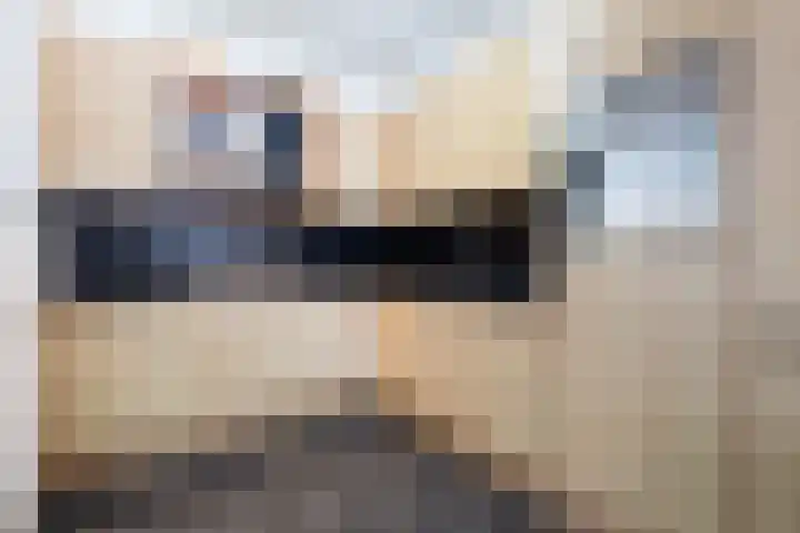 Ruyllaan 36 Grave thumbnail 10