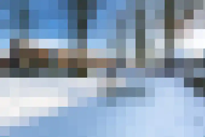 Ruyllaan 36 Grave thumbnail 33