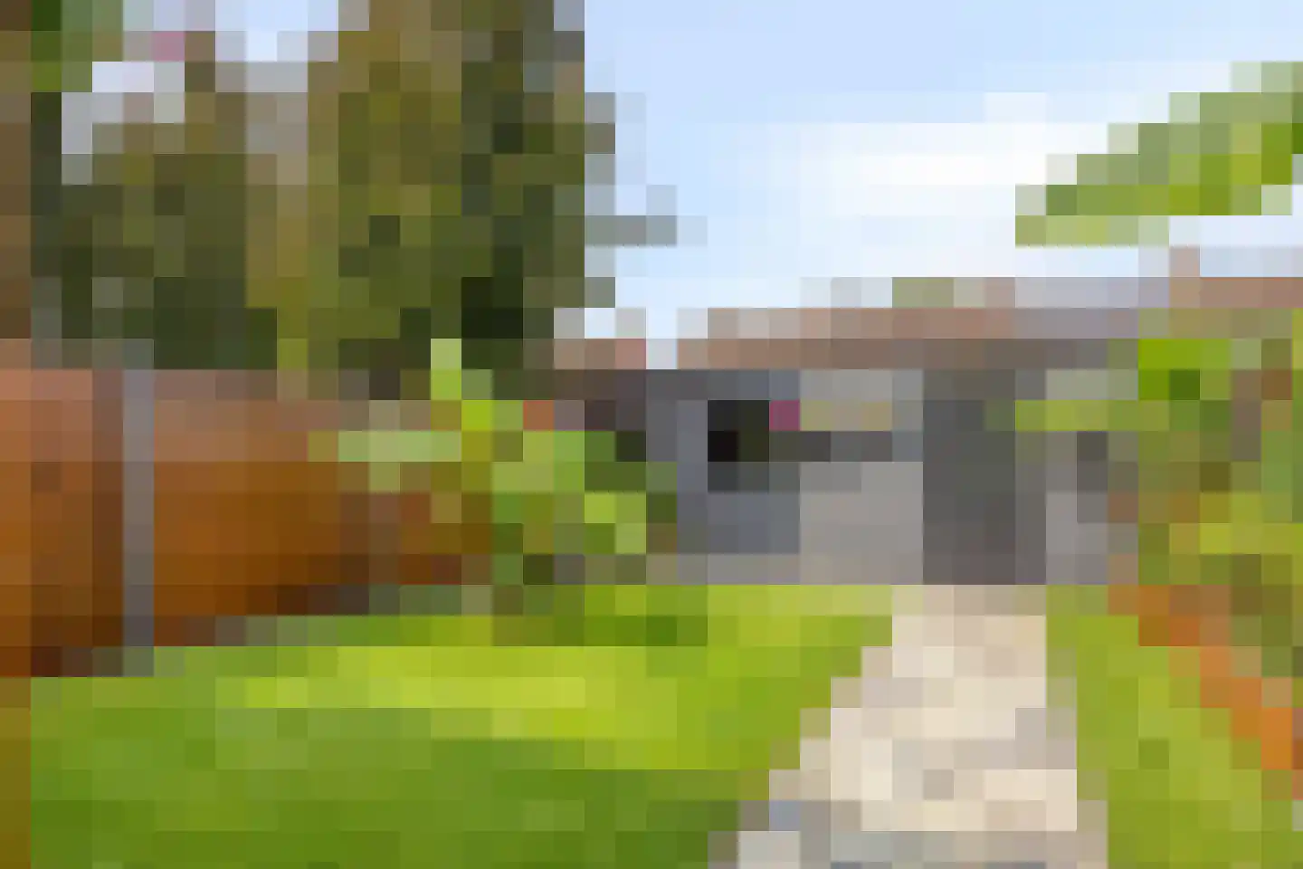 Ruyllaan 5 Grave thumbnail 24