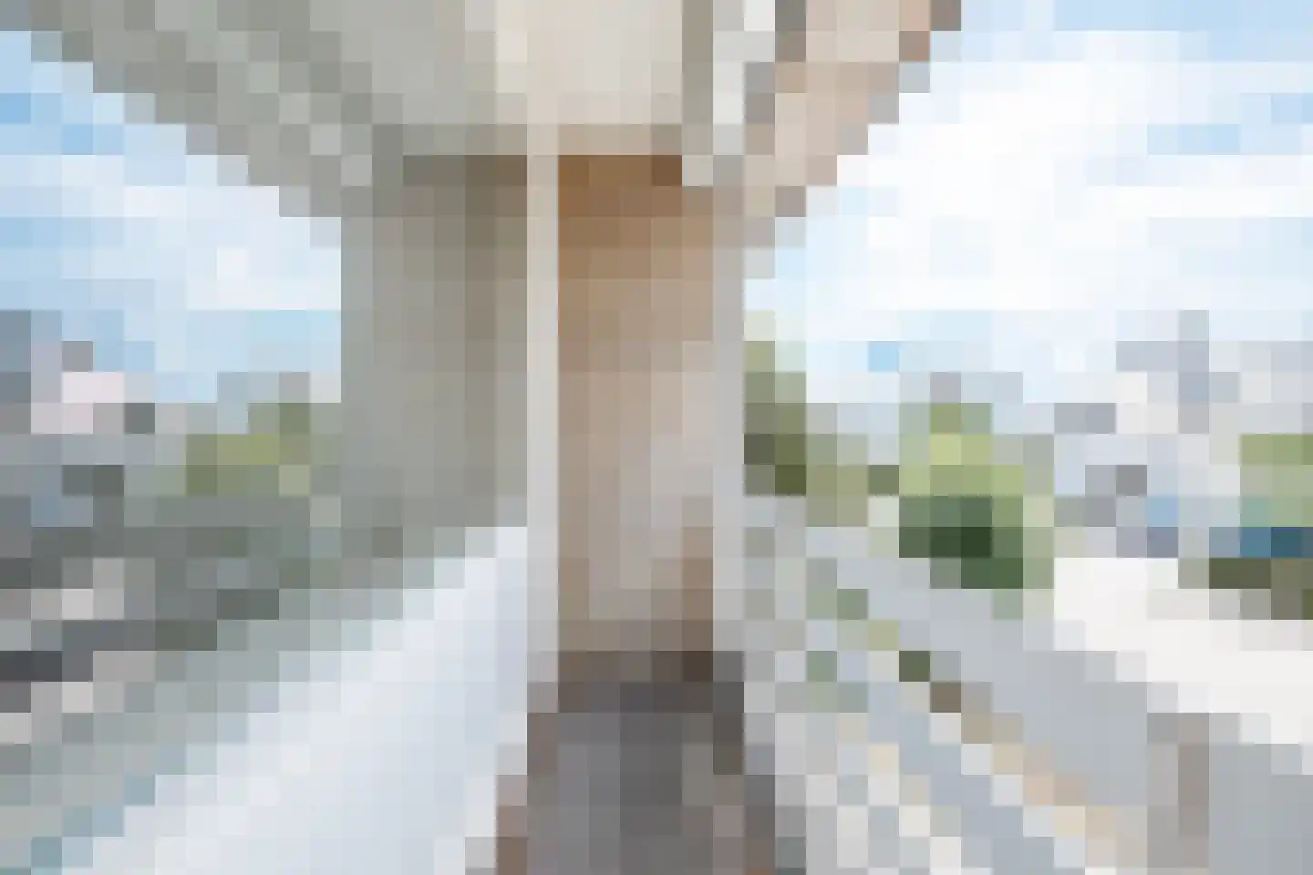 Ruymheuvel 6 Moergestel thumbnail 20