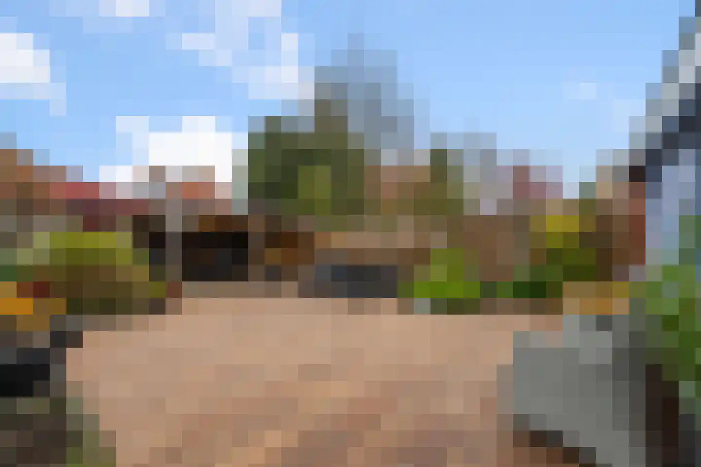 Ruyn acker 36 Heemskerk thumbnail 18
