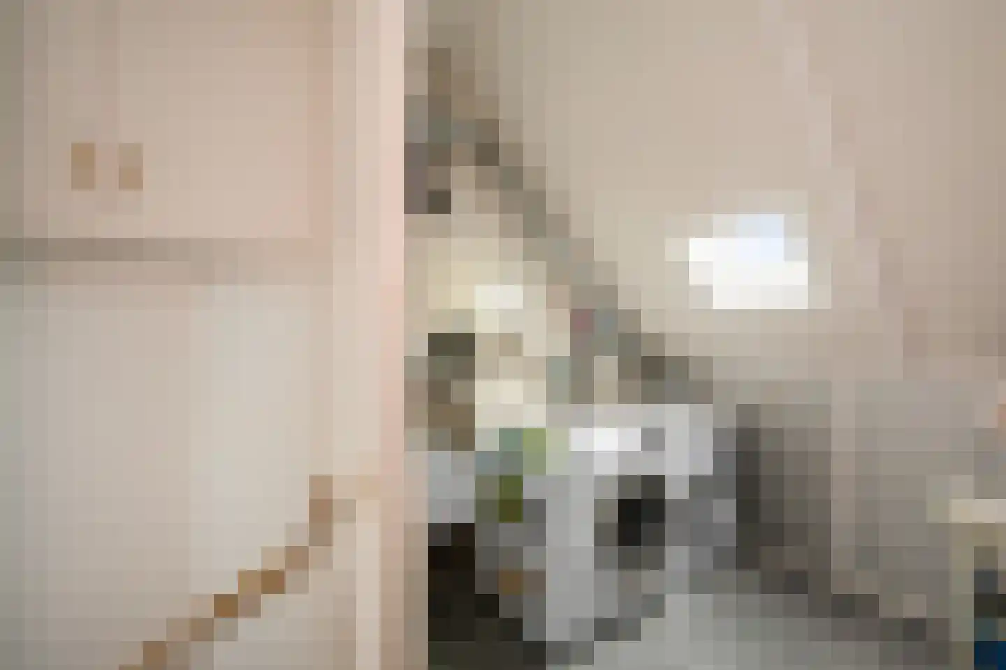 Ruyn acker 36 Heemskerk thumbnail 38