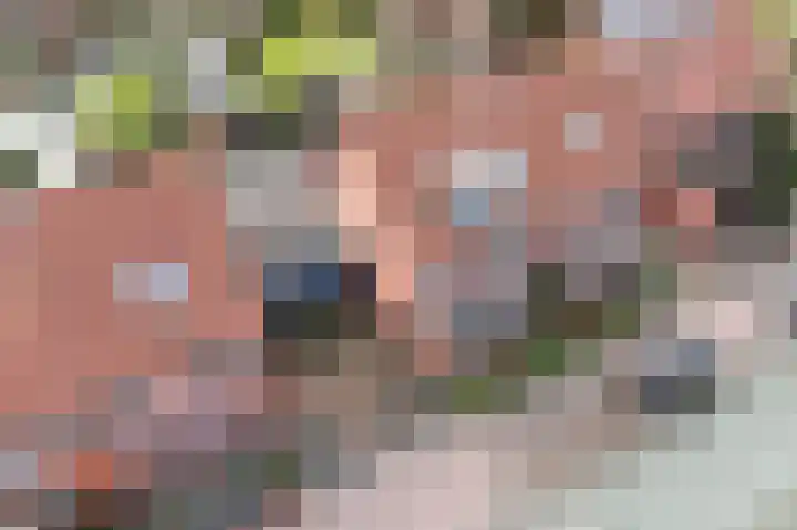 Ruyn acker 77 Heemskerk