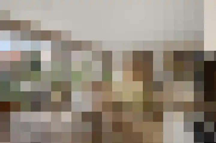 Ruyn acker 77 Heemskerk thumbnail 9