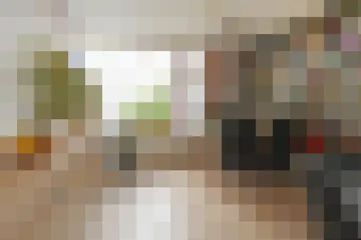 Ruys de Beerenbroucklaan 1 Pijnacker thumbnail 10
