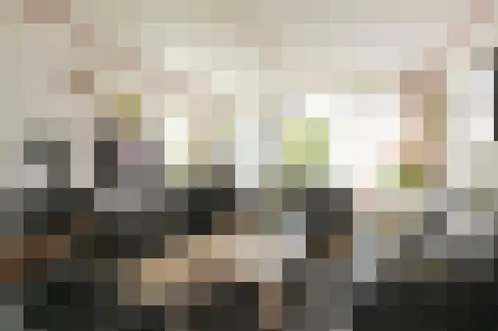 Ruys de Beerenbroucklaan 1 Pijnacker thumbnail 11