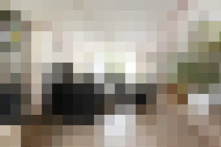 Ruys de Beerenbroucklaan 1 Pijnacker thumbnail 12