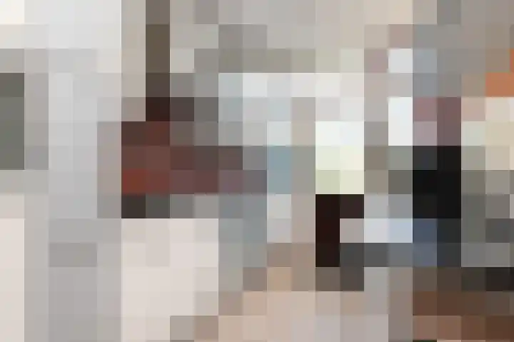 Ruys de Beerenbroucklaan 1 Pijnacker thumbnail 13