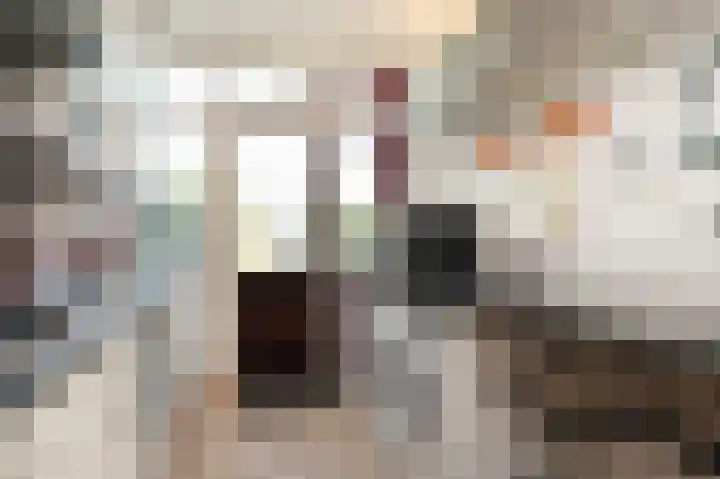 Ruys de Beerenbroucklaan 1 Pijnacker thumbnail 14
