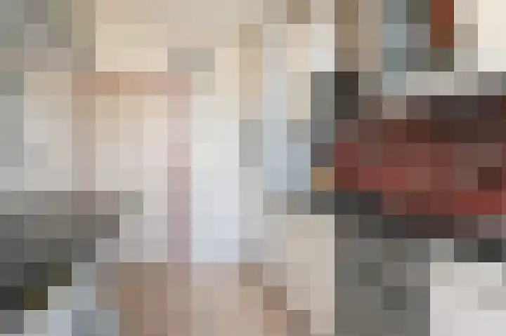 Ruys de Beerenbroucklaan 1 Pijnacker thumbnail 15