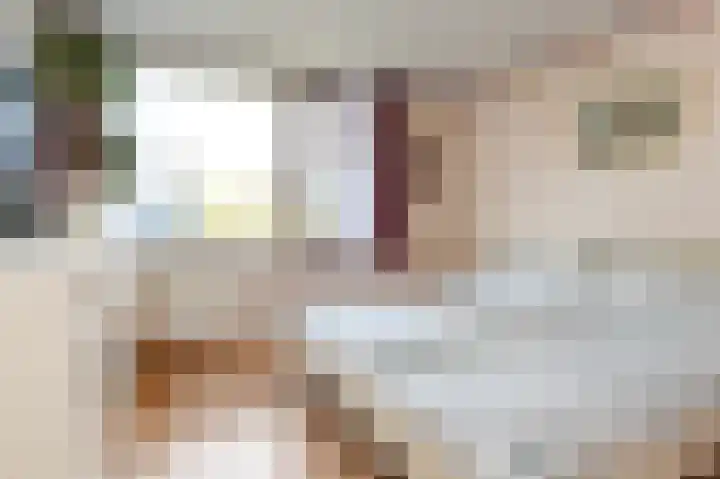Ruys de Beerenbroucklaan 1 Pijnacker thumbnail 17