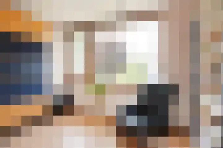 Ruys de Beerenbroucklaan 1 Pijnacker thumbnail 19