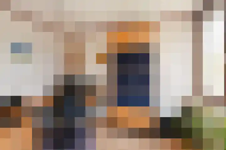 Ruys de Beerenbroucklaan 1 Pijnacker thumbnail 20