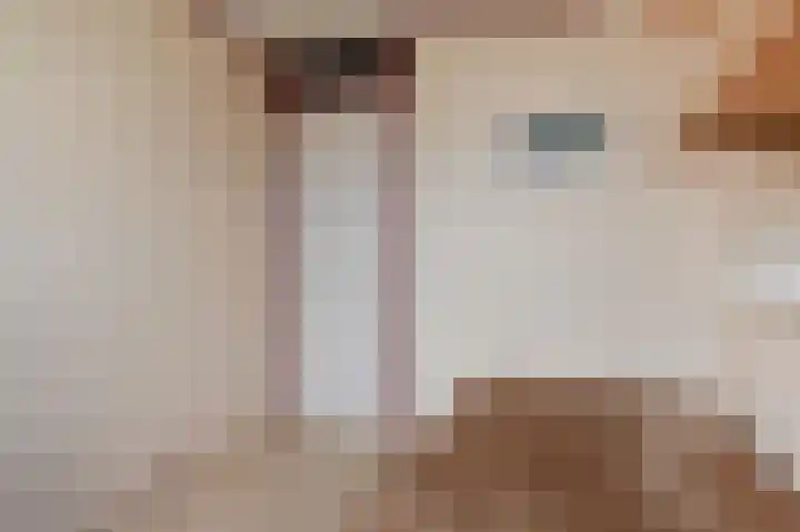 Ruys de Beerenbroucklaan 1 Pijnacker thumbnail 23