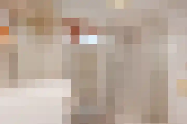 Ruys de Beerenbroucklaan 1 Pijnacker thumbnail 24